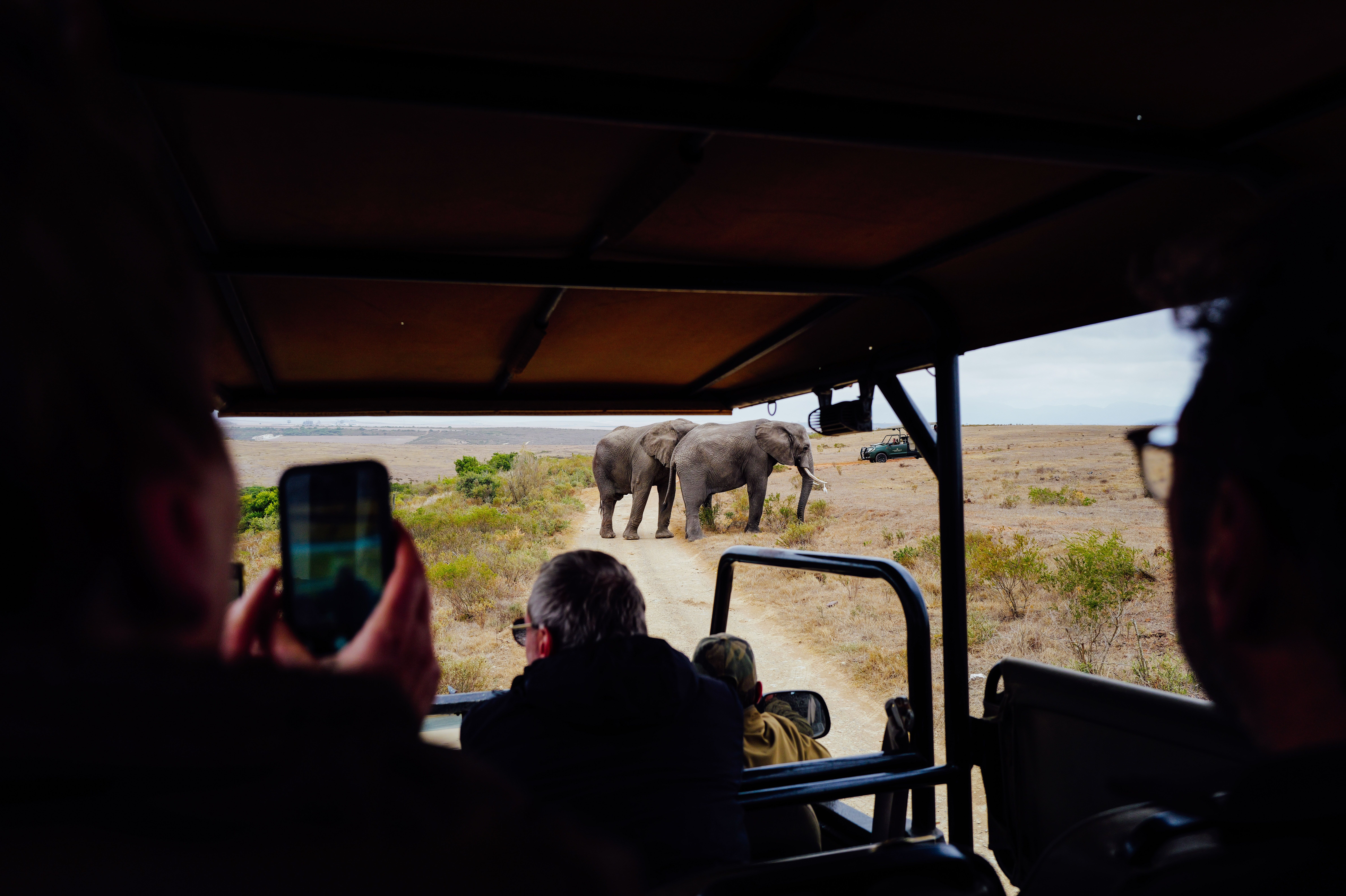 Photography Safari