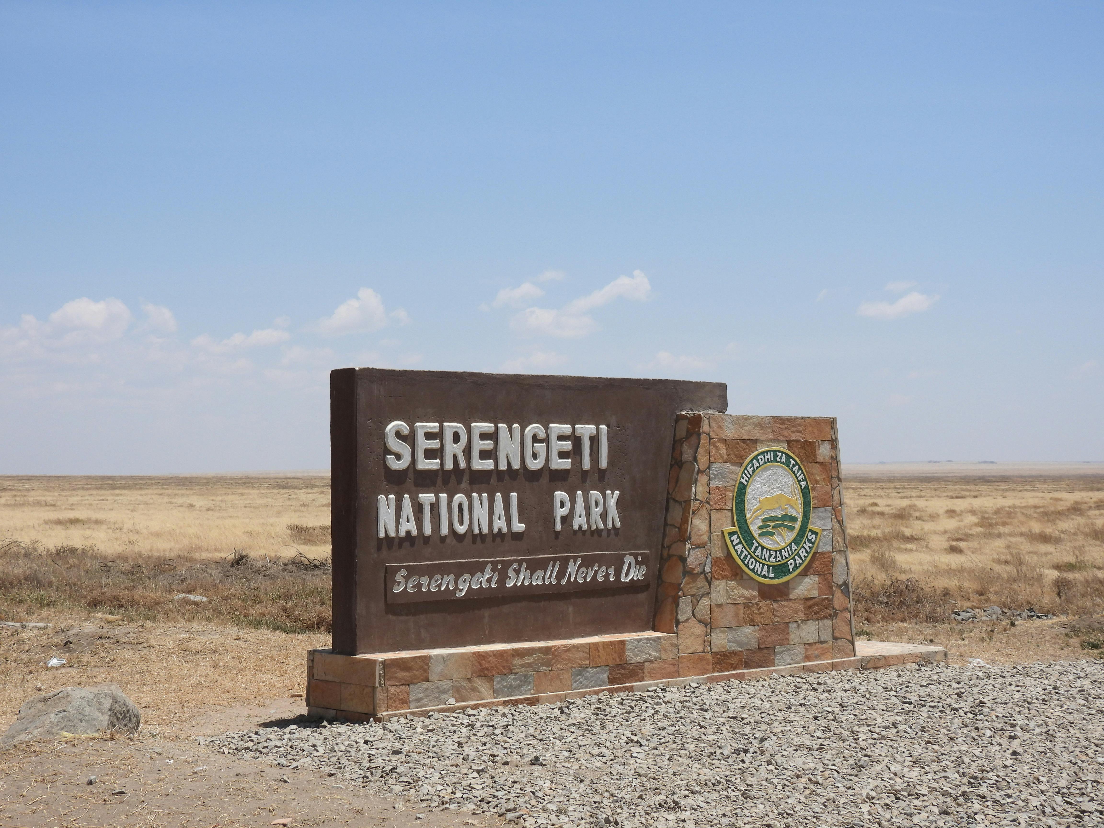 Serengeti Safari